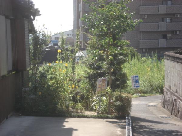 売地(東浦藤江荒子)