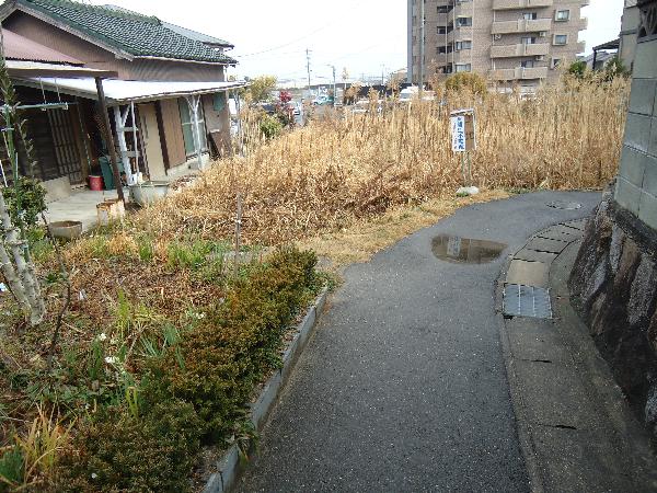 売地（東浦藤江荒子）