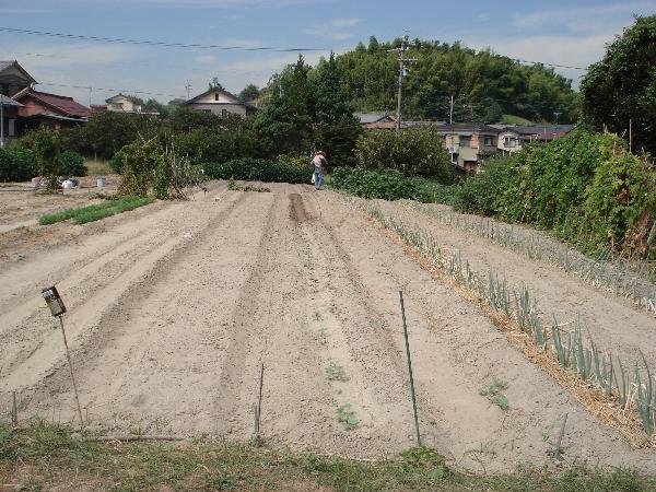 売地(半田有脇4)