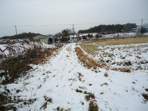 売地山林(東浦藤江仏)