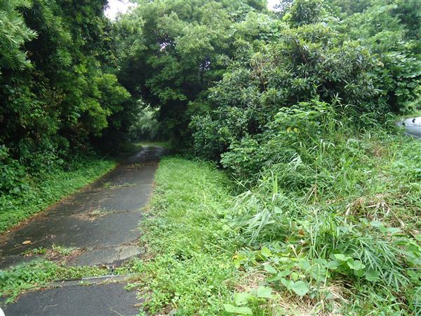 売地山林（南知多内海）