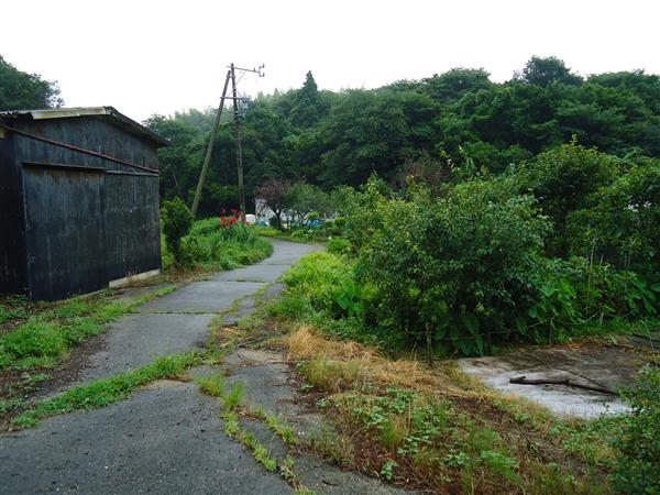 売地山林（南知多内海）