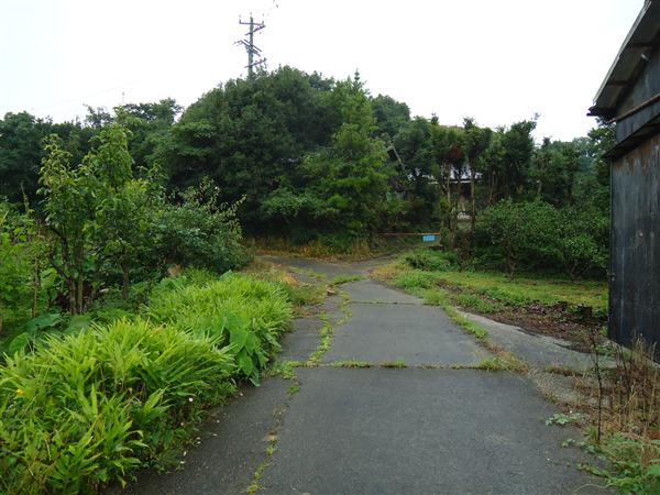 売地山林(南知多内海)