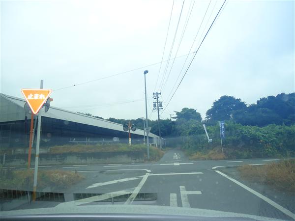 売地山林（南知多内海）