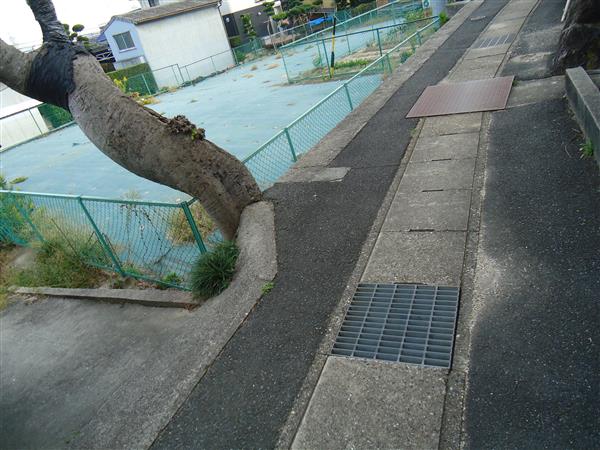 売地(東浦緒川屋敷参区)