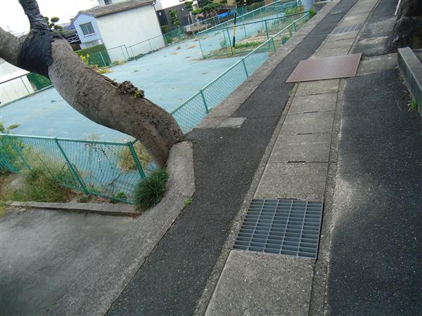 売地（東浦緒川屋敷参区）