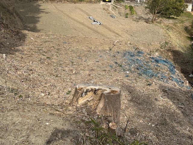 売地（東浦藤江高ツブラ400）